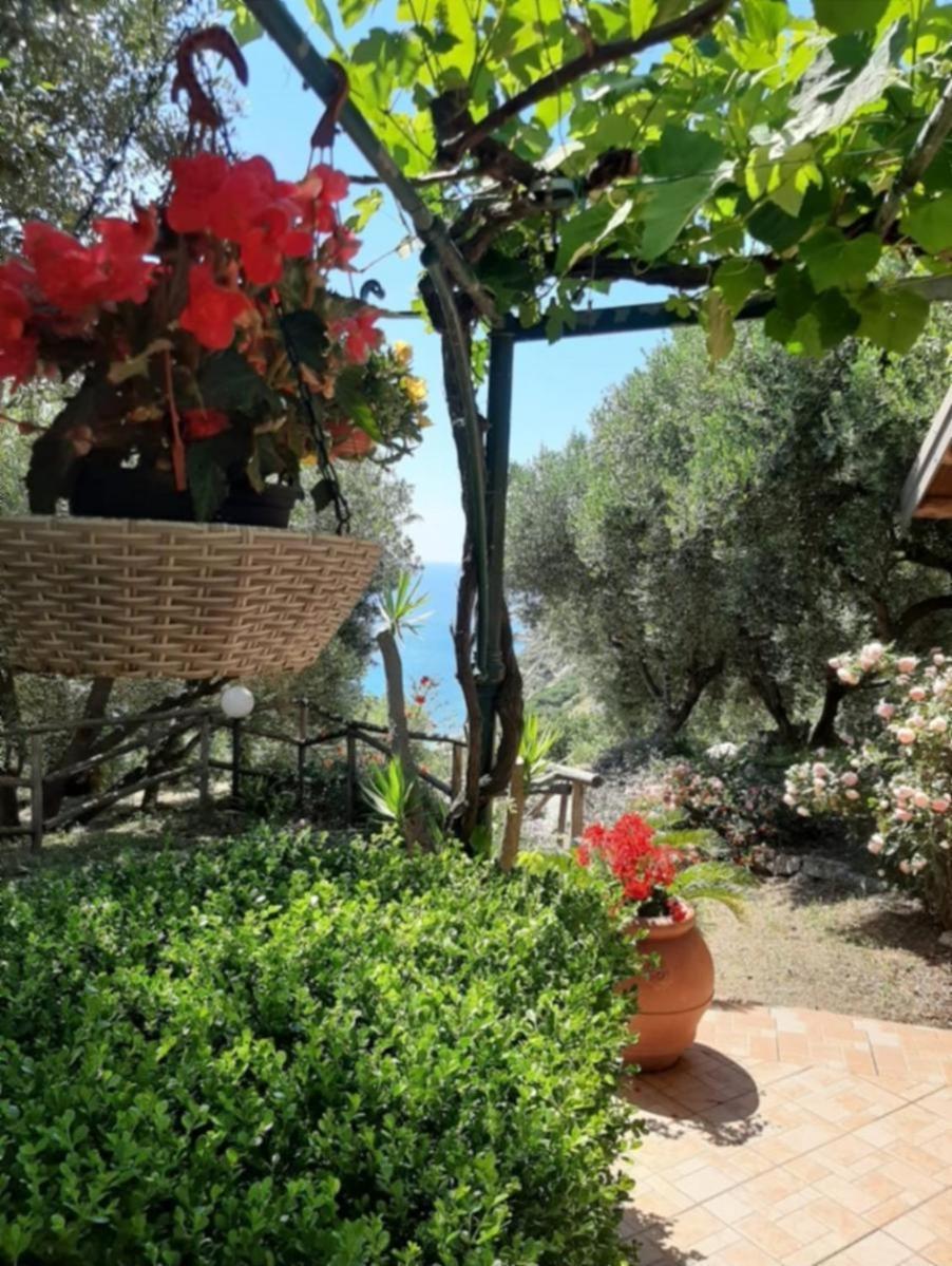 Villa Gemma Joppolo Εξωτερικό φωτογραφία